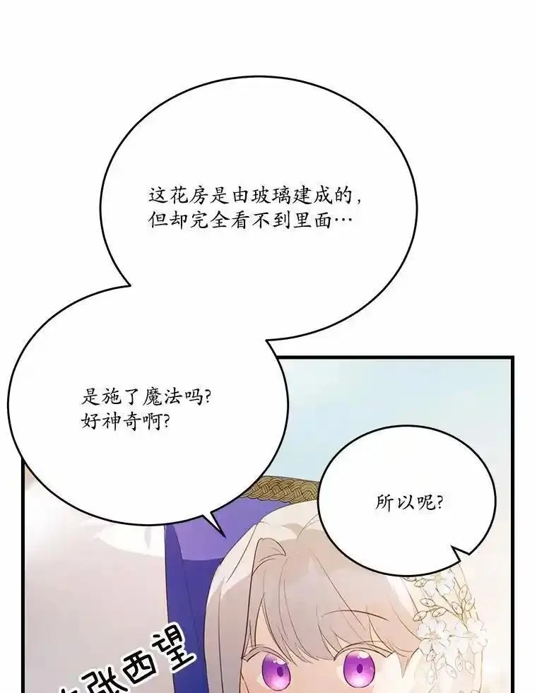 狗血暗黑文由我来改写,40.玻璃花房,第50张