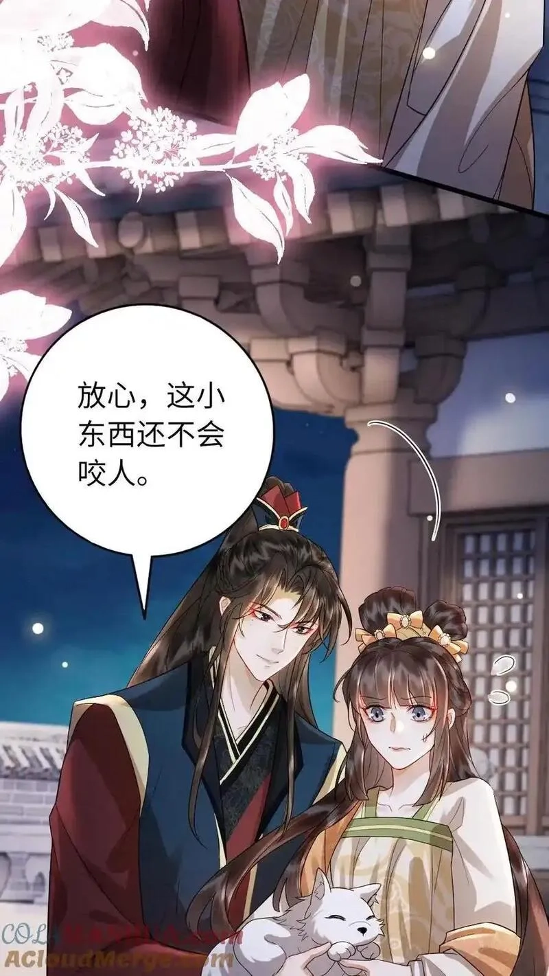 报告摄政王：大佬她专治不孕不育,第200话 再次告白,第3张