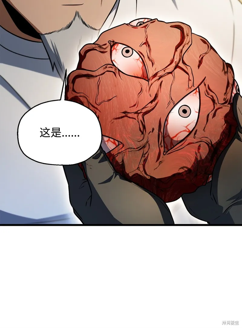 无法升级的玩家,第160话,第80张