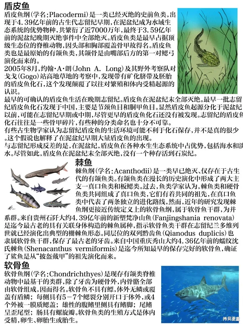 六億年的博物旅行,第04話,第25张