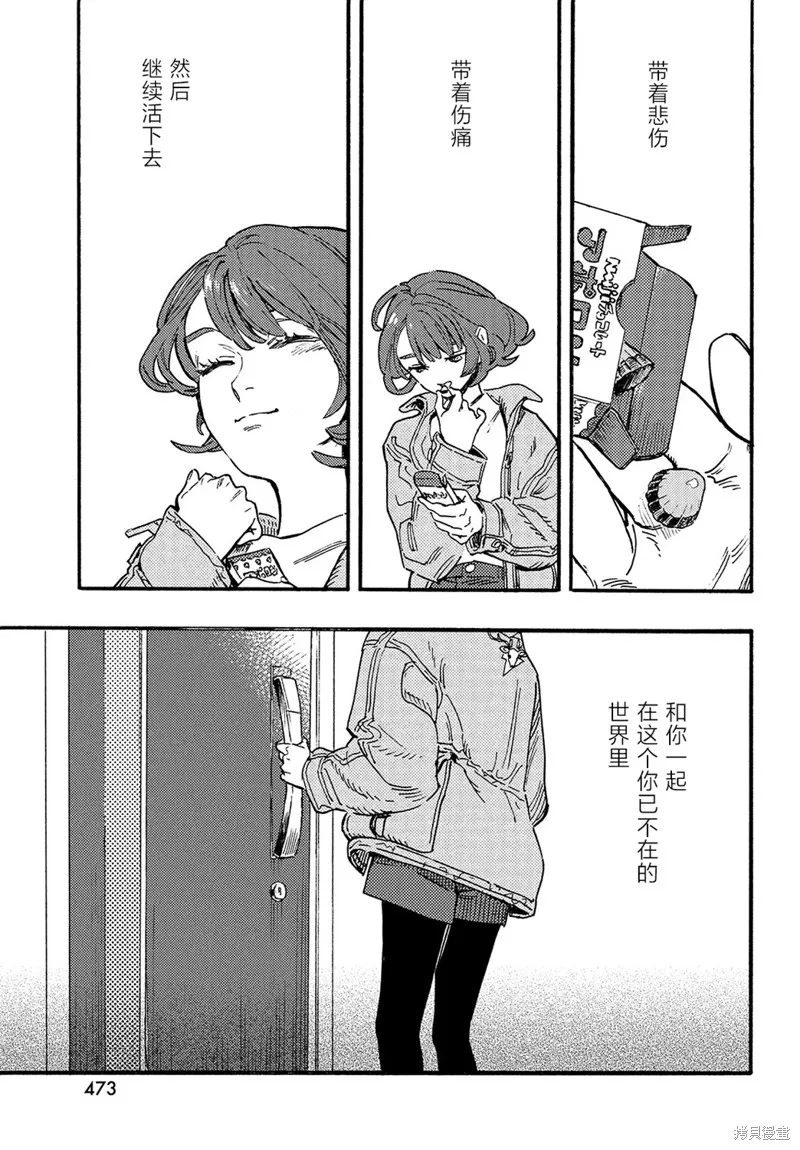 旅途的終點是希賴斯,最终话,第27张