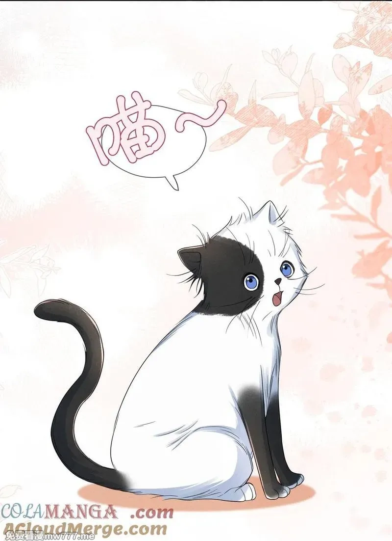 时光代理人,015 谣言锁链,第13张