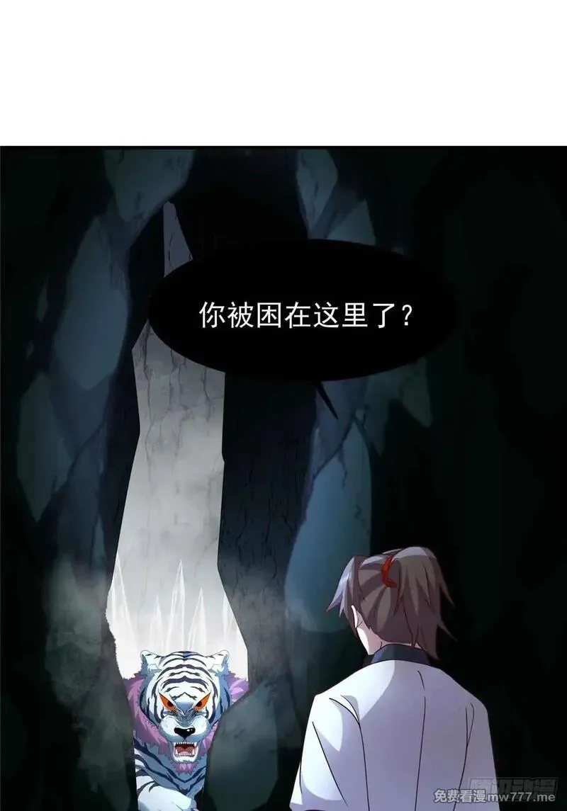 宠魅,44 斑斓魔虎,第11张