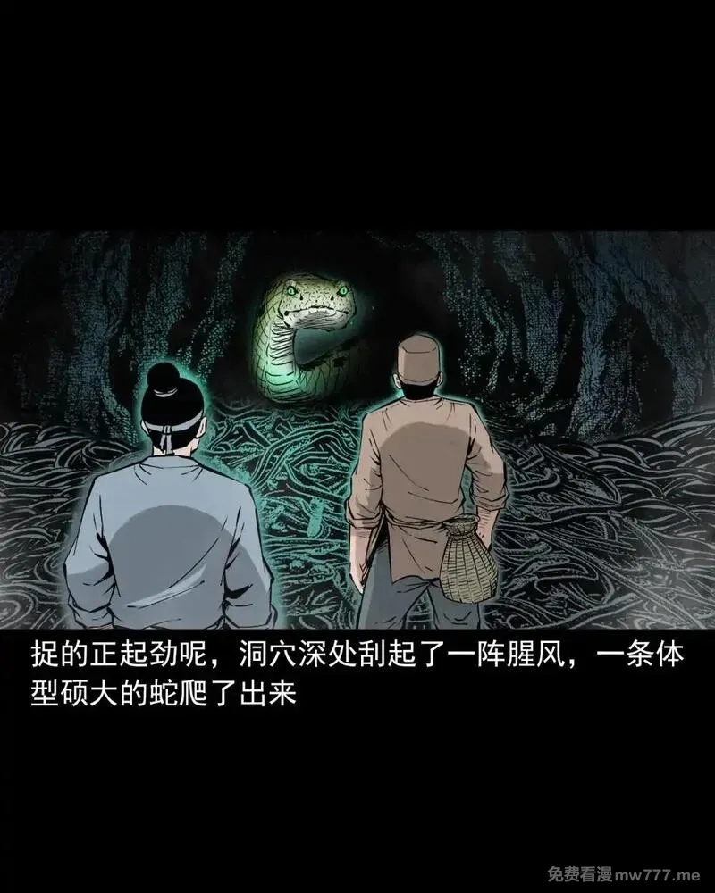 聊斋怪谈,150 第150话巨蛇,第13张