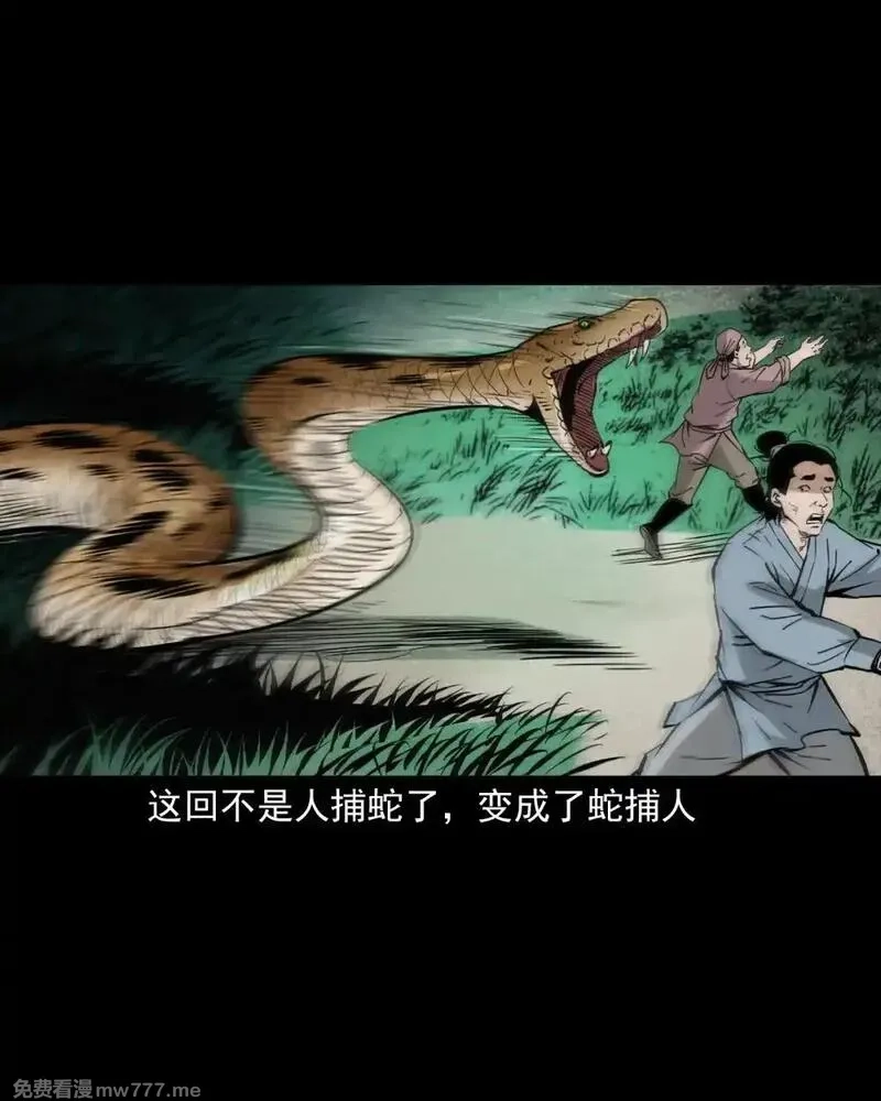 聊斋怪谈,150 第150话巨蛇,第16张