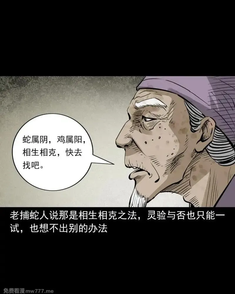 聊斋怪谈,150 第150话巨蛇,第25张