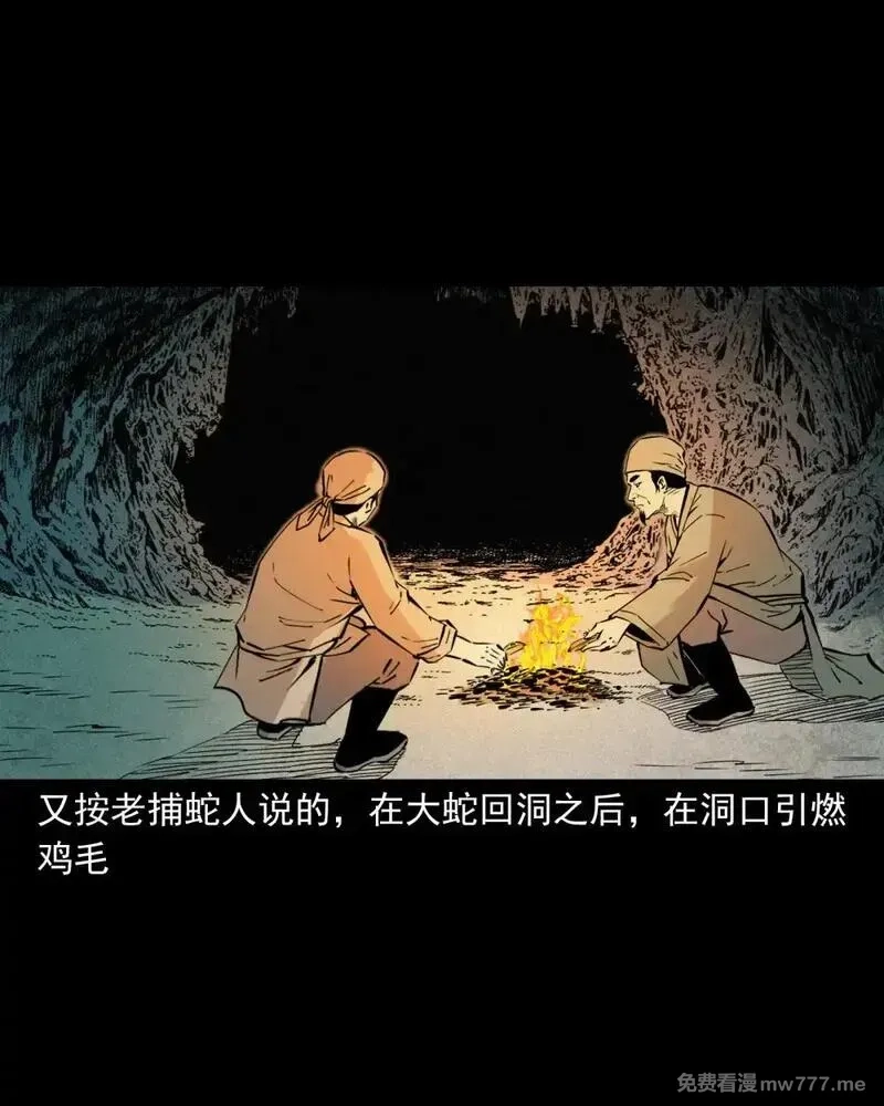 聊斋怪谈,150 第150话巨蛇,第27张