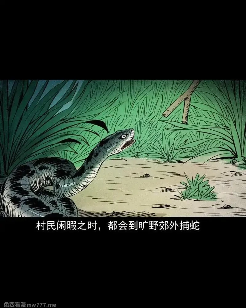 聊斋怪谈,150 第150话巨蛇,第3张