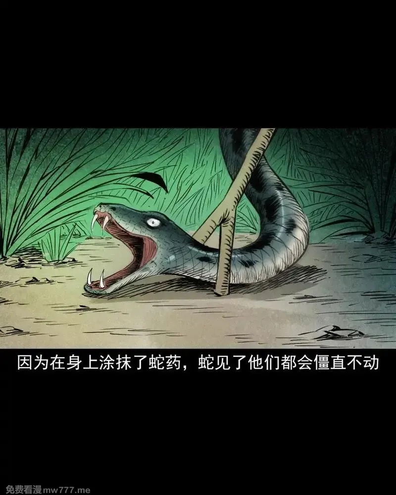 聊斋怪谈,150 第150话巨蛇,第4张