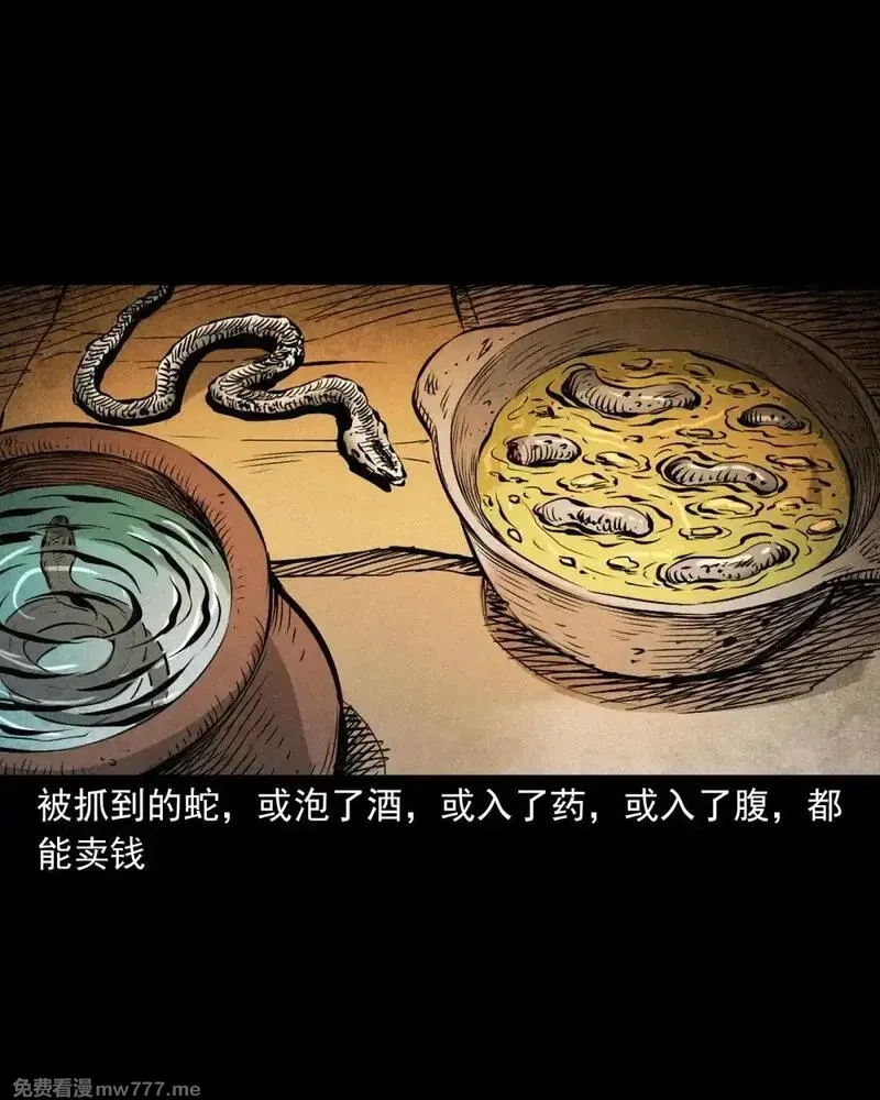 聊斋怪谈,150 第150话巨蛇,第7张