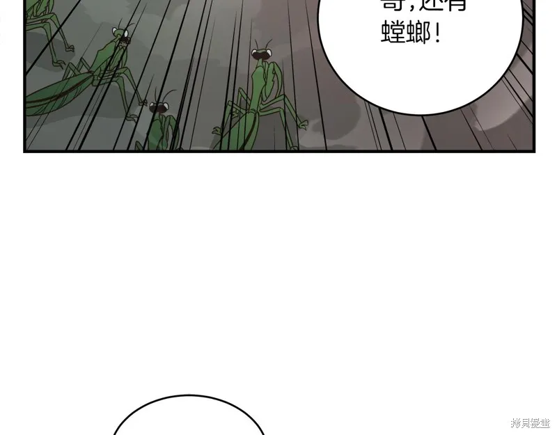 Hero Killer,第100话,第166张