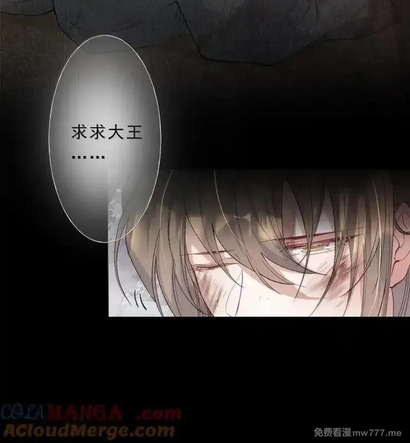 乱世为王,114 满江红·俘虏,第5张