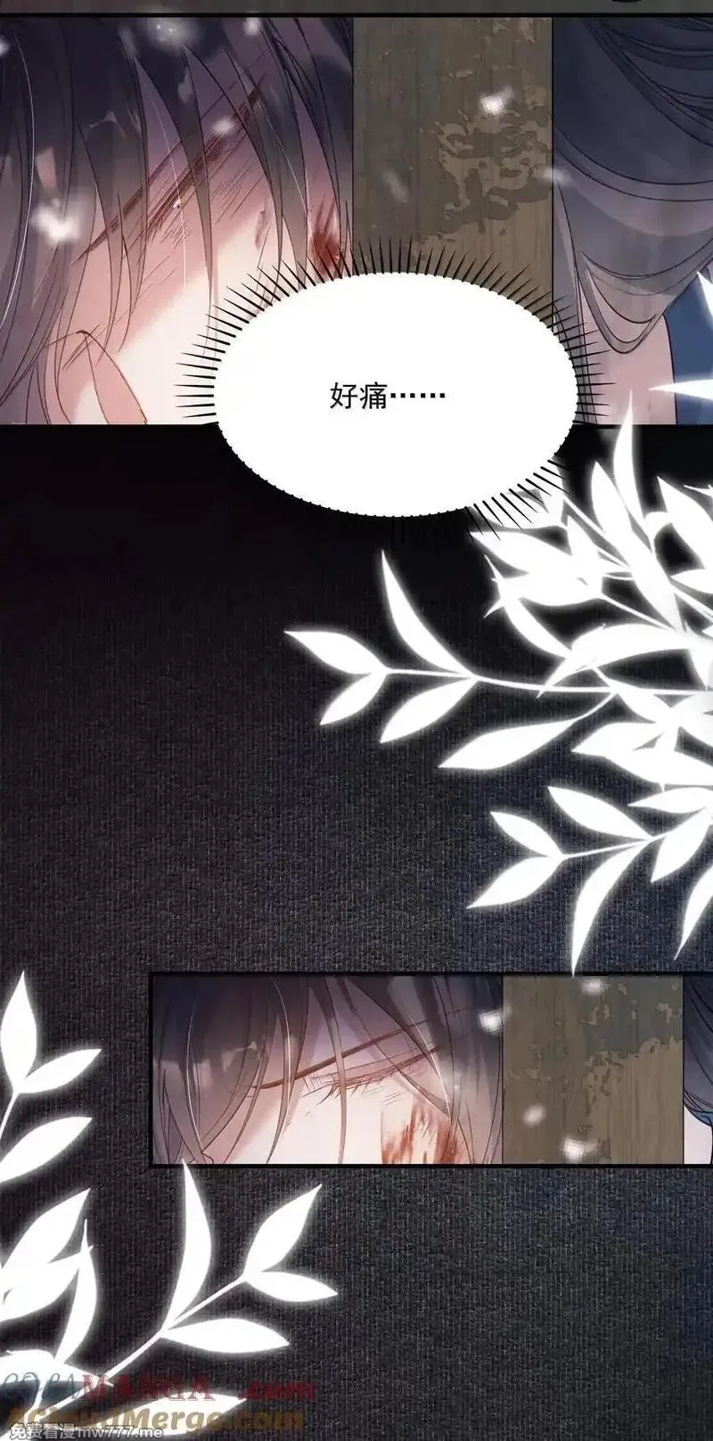 乱世为王,112 满江红·子谦别睡,第16张