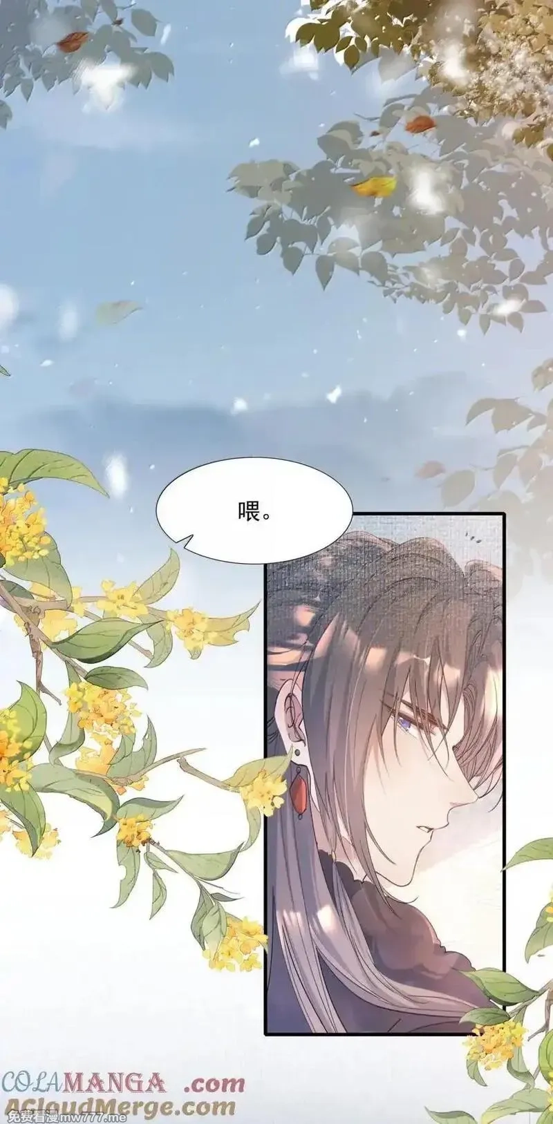 乱世为王,117 满江红·沙那多,第13张