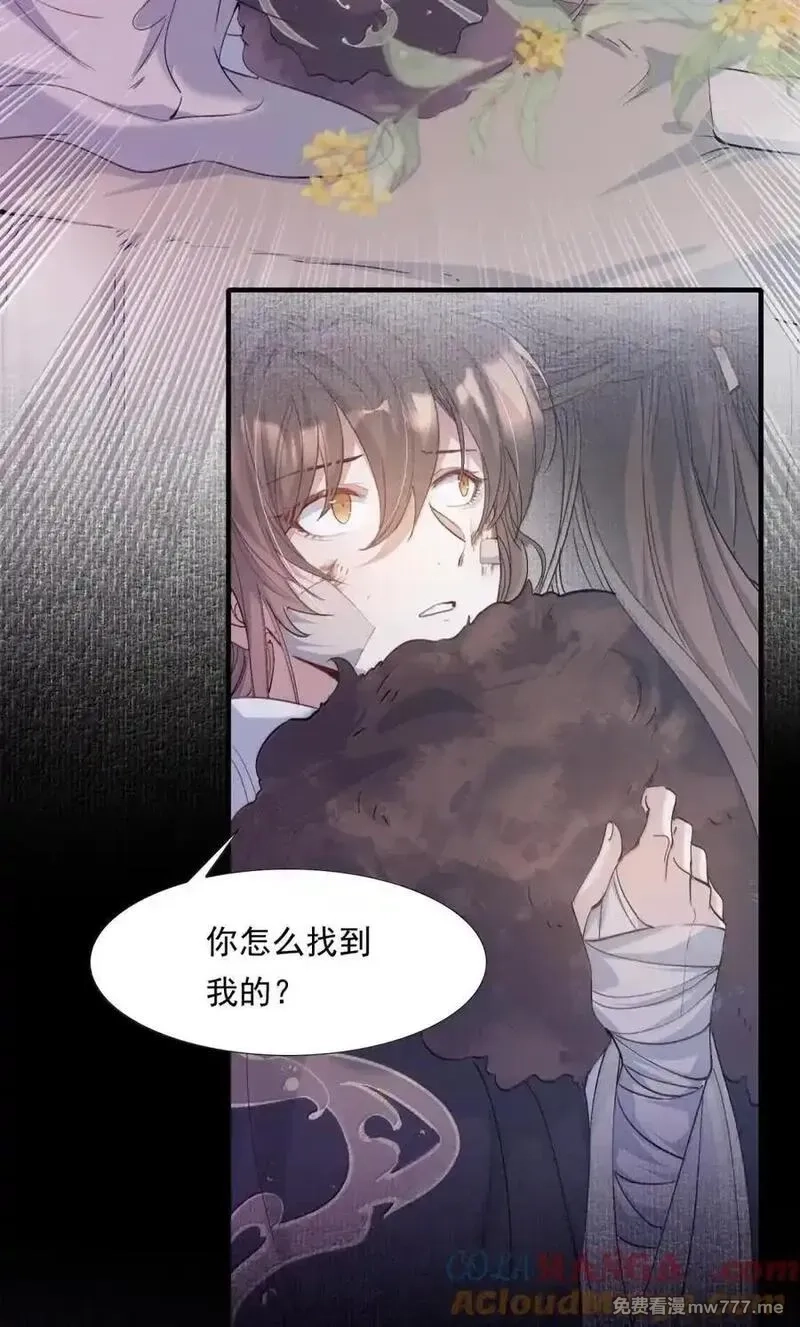 乱世为王,116 满江红·相依偎,第3张