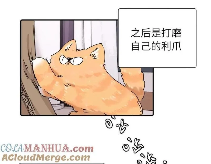 亲爱的死对头,第三十八话 勉强,第10张