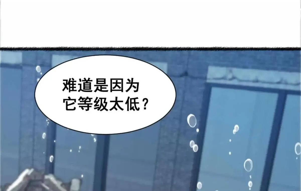 开挂吧！大王乌贼,第21话 龟影半藏,第100张