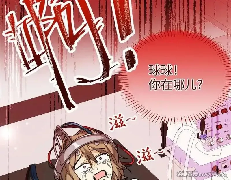 蠢主人你越界了,88 苦痛回忆,第74张
