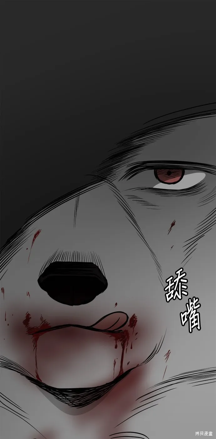 狗狗逃亡記,第53話,第15张