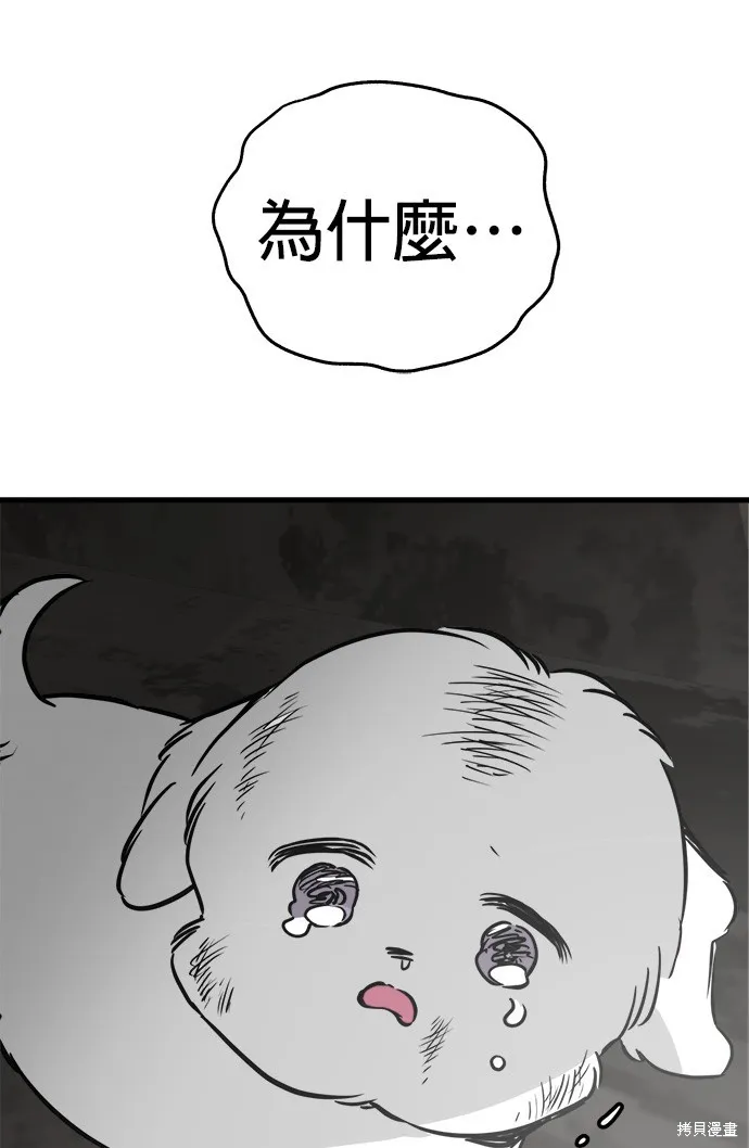 狗狗逃亡記,第53話,第2张