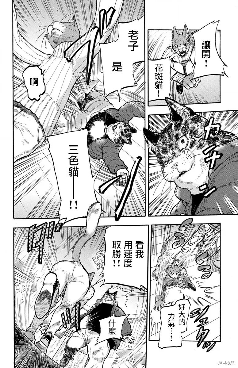 貓貓刑警,第01话,第13张