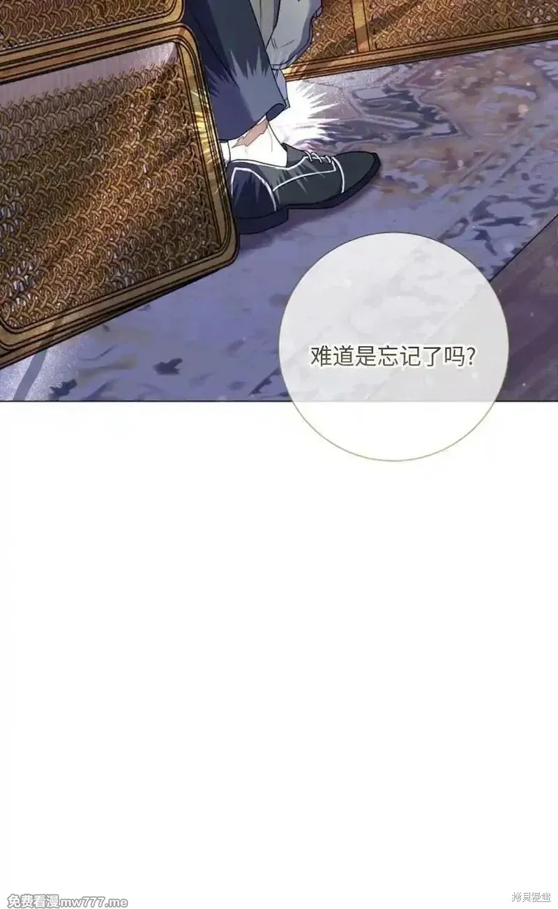 還沒結婚離什麼婚啊,陛下,第28话,第72张