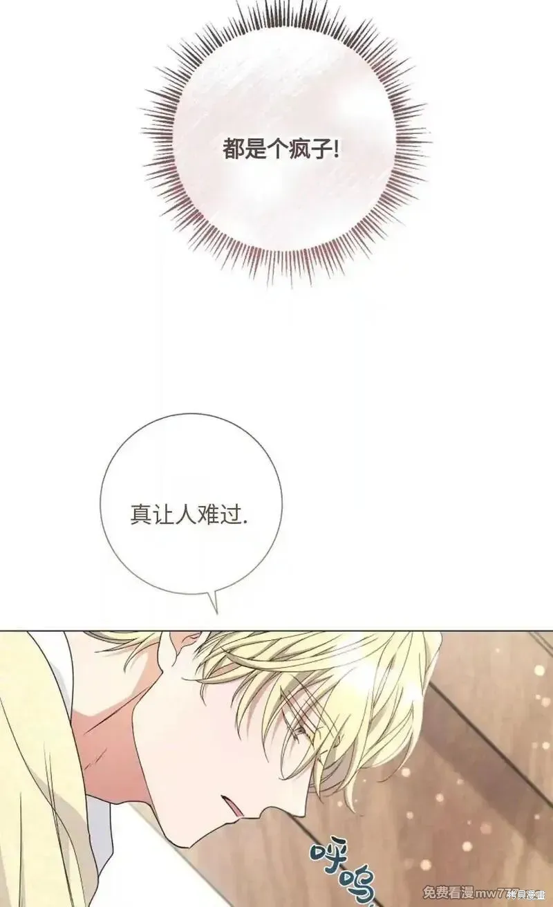 還沒結婚離什麼婚啊,陛下,第28话,第86张