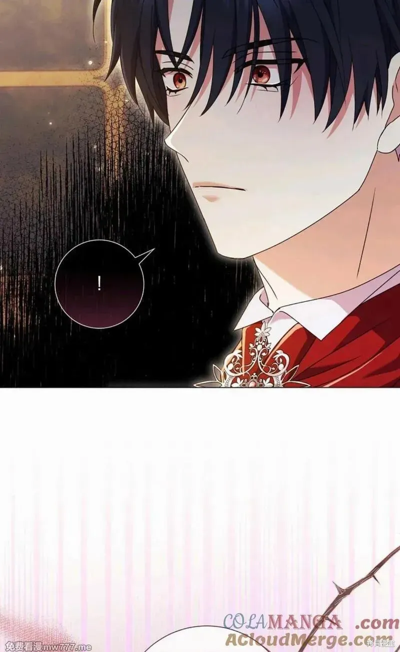還沒結婚離什麼婚啊,陛下,第36话,第5张