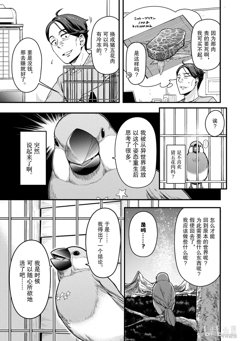 佐佐木与文鸟小哔 想在异世界享受悠哉生活，却在现代被卷入异能战斗～魔法少女好像开始热身了~,第1话,第12张