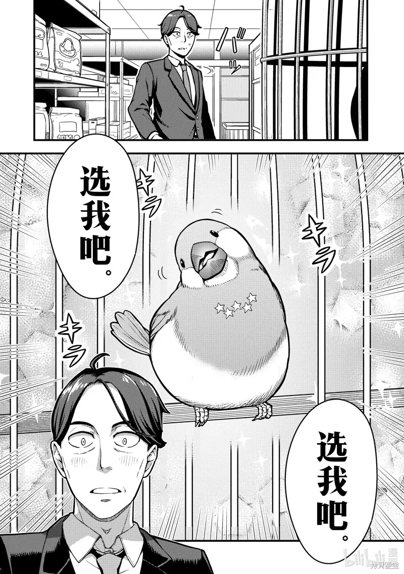 佐佐木与文鸟小哔 想在异世界享受悠哉生活，却在现代被卷入异能战斗～魔法少女好像开始热身了~,第1话,第7张