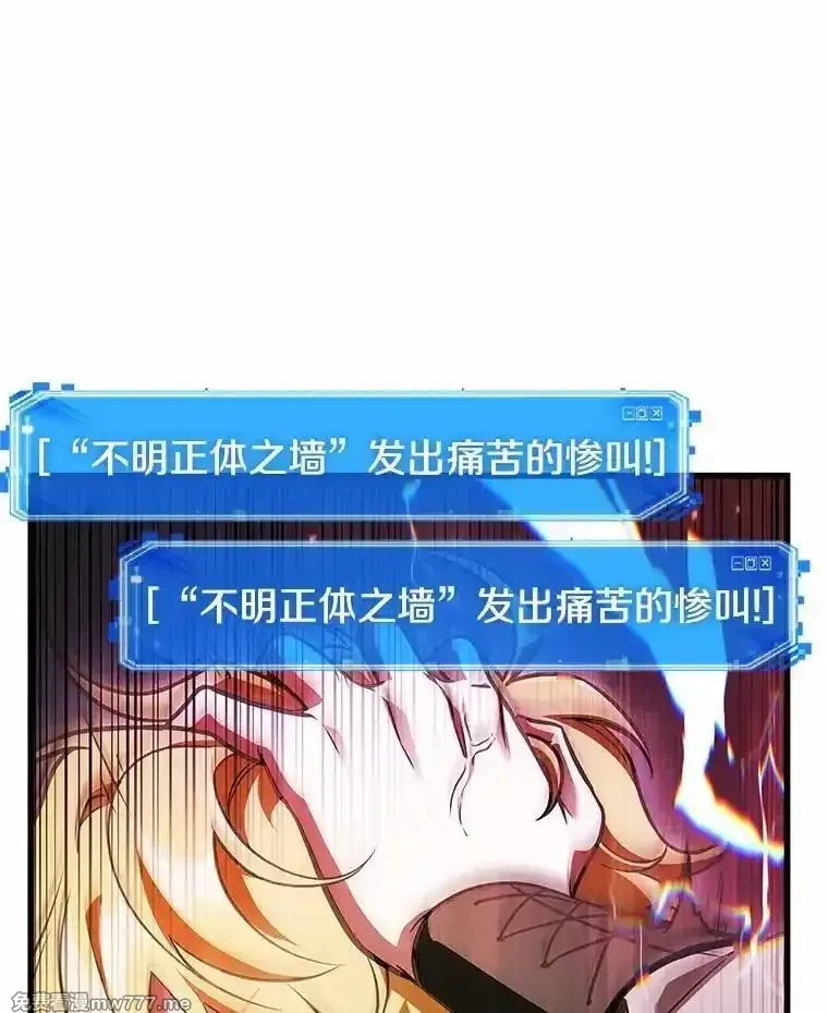 全知读者视角,236.不明正体之墙-2,第87张