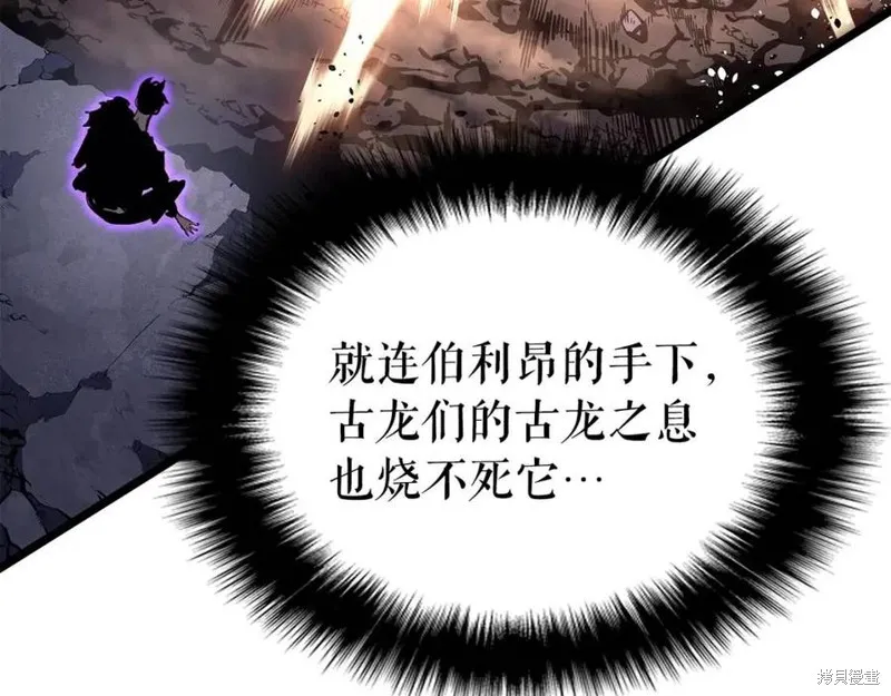 我独自升级,第175话,第153张