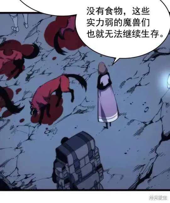 我独自升级,第69话,第27张