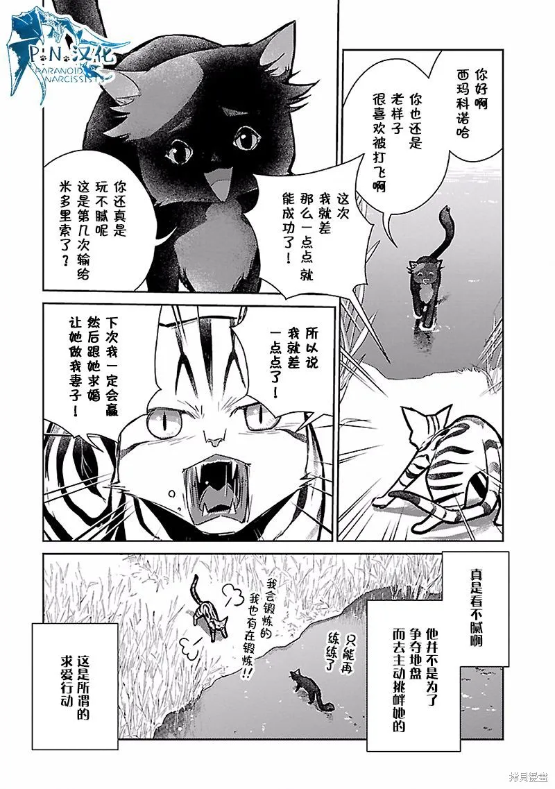 猫与龙,第17话,第12张