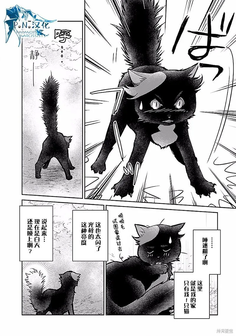 猫与龙,第17话,第5张