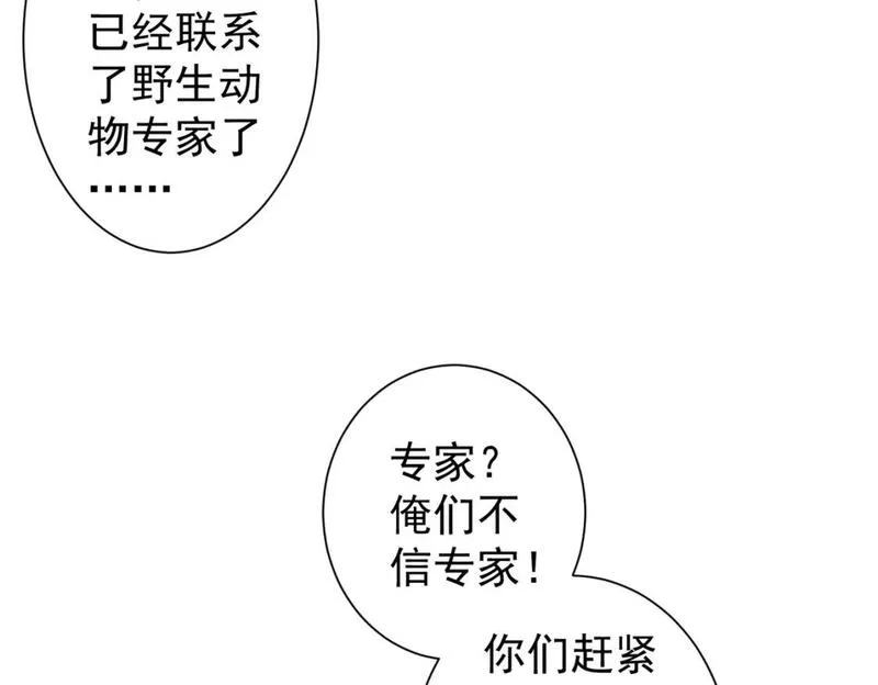 我能看到成功率,第327话 别样人生,第13张