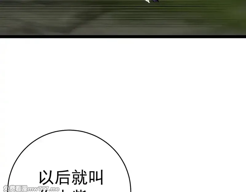 我能复制天赋,第76话  元气石矿脉！,第46张