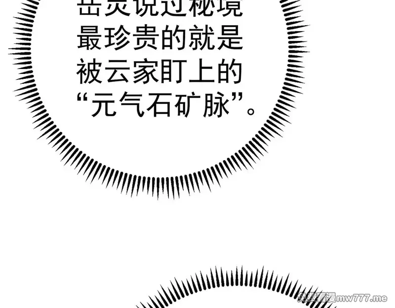 我能复制天赋,第76话  元气石矿脉！,第52张