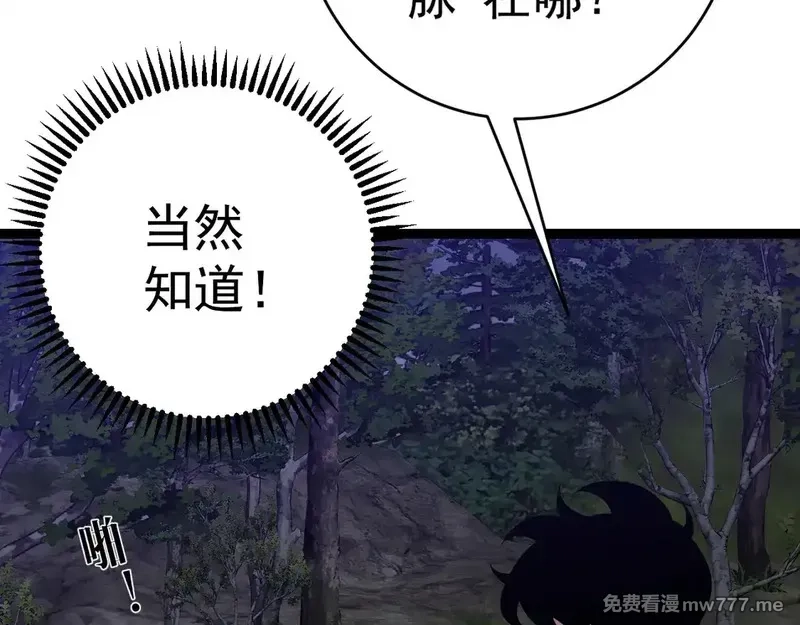 我能复制天赋,第76话  元气石矿脉！,第56张