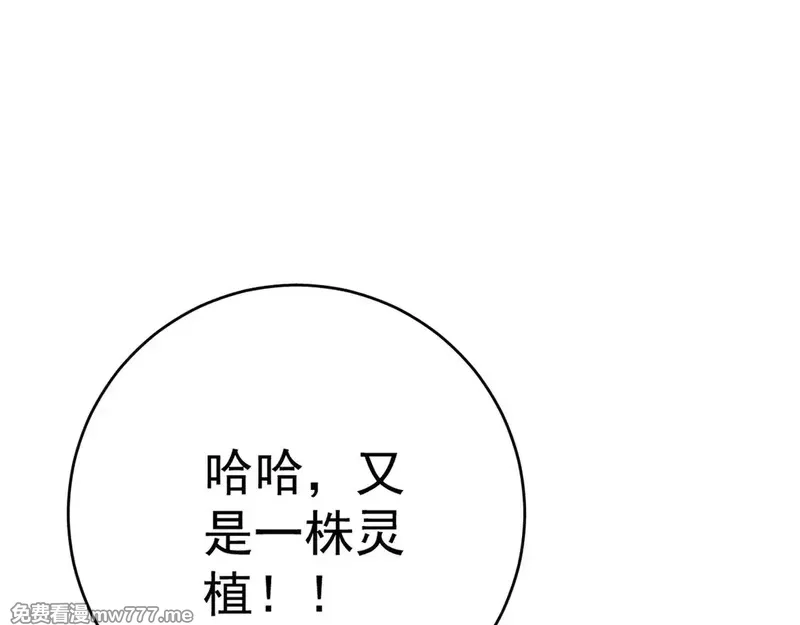 我能复制天赋,第75话 紫金宝鼠！,第40张
