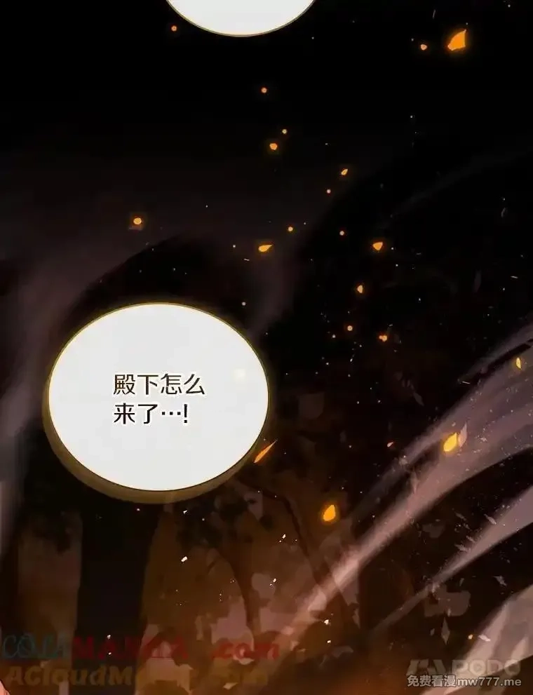 解除婚约的代价,79.出手保护,第21张