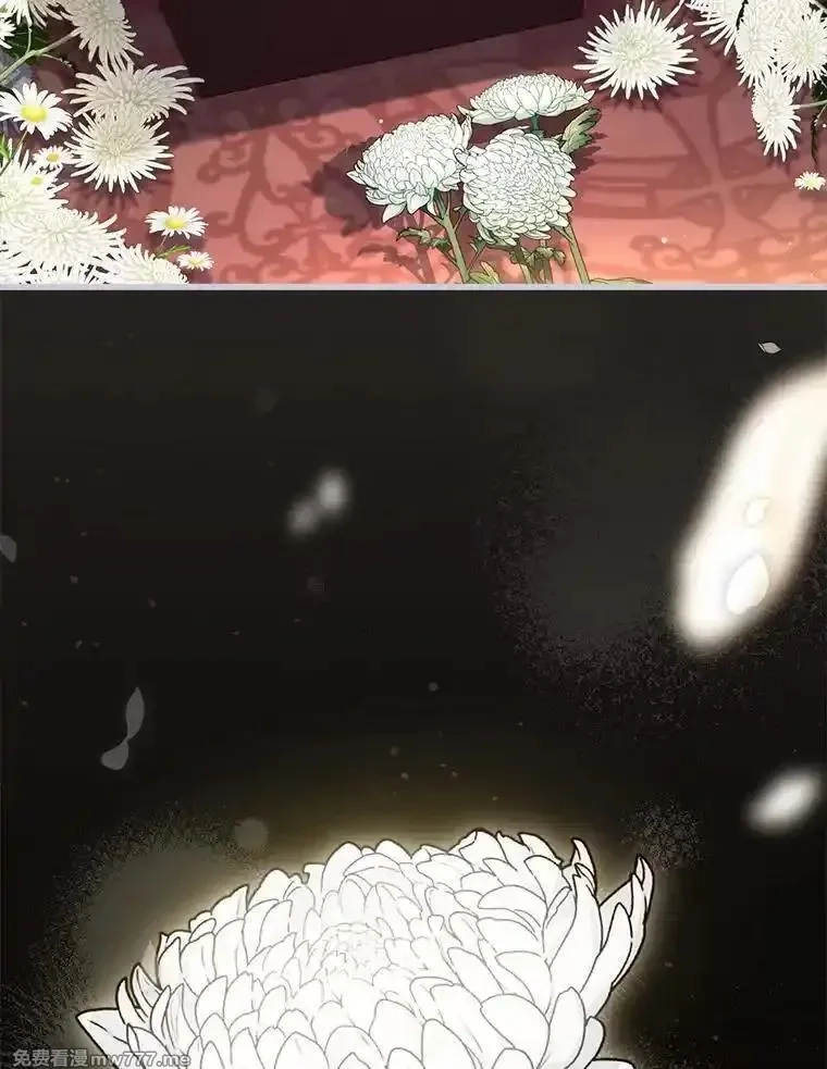 解除婚约的代价,69.挑拨离间,第11张