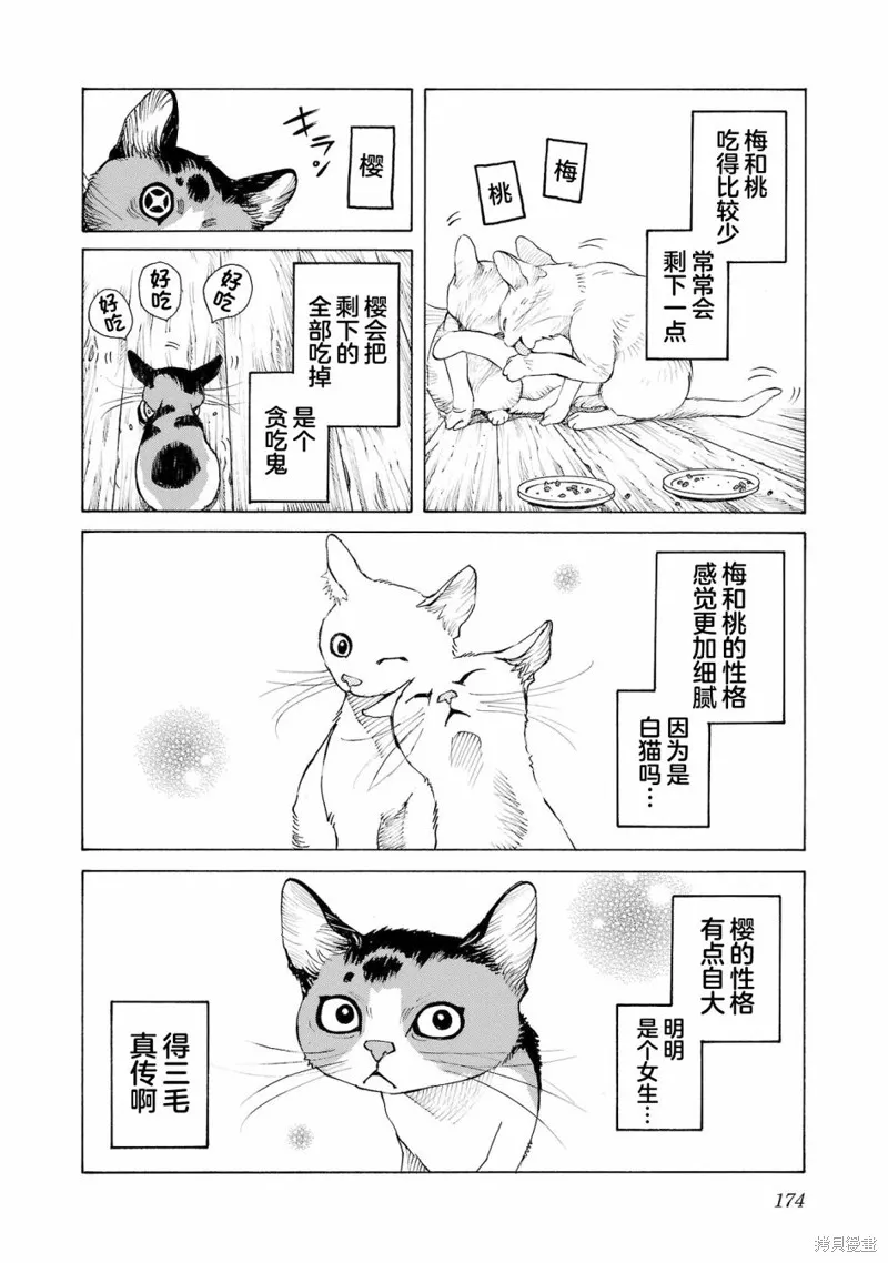 海岛与少女还有猫,第51话,第13张