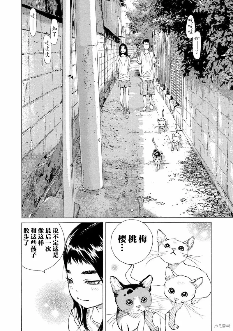 海岛与少女还有猫,第51话,第22张