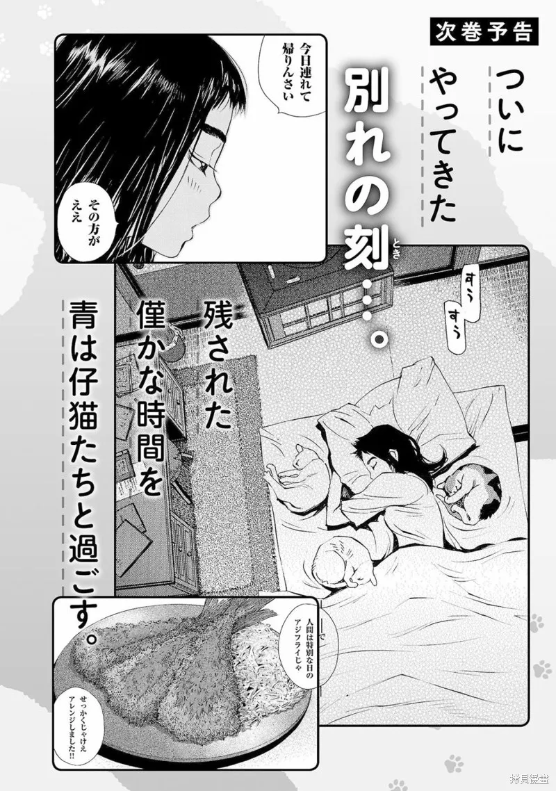 海岛与少女还有猫,第51话,第28张