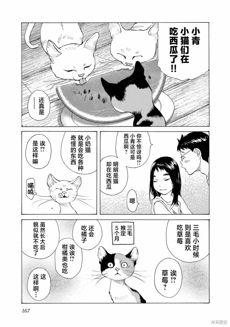 海岛与少女还有猫,第51话,第6张