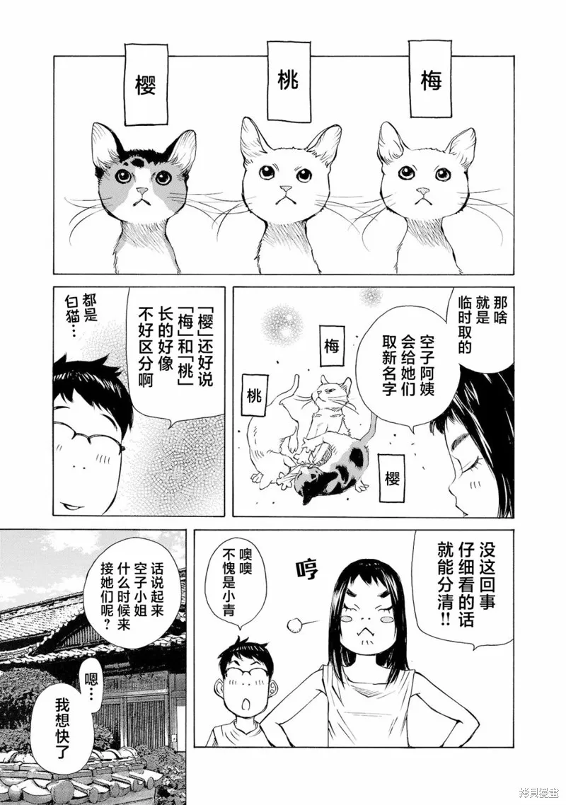 海岛与少女还有猫,第51话,第8张