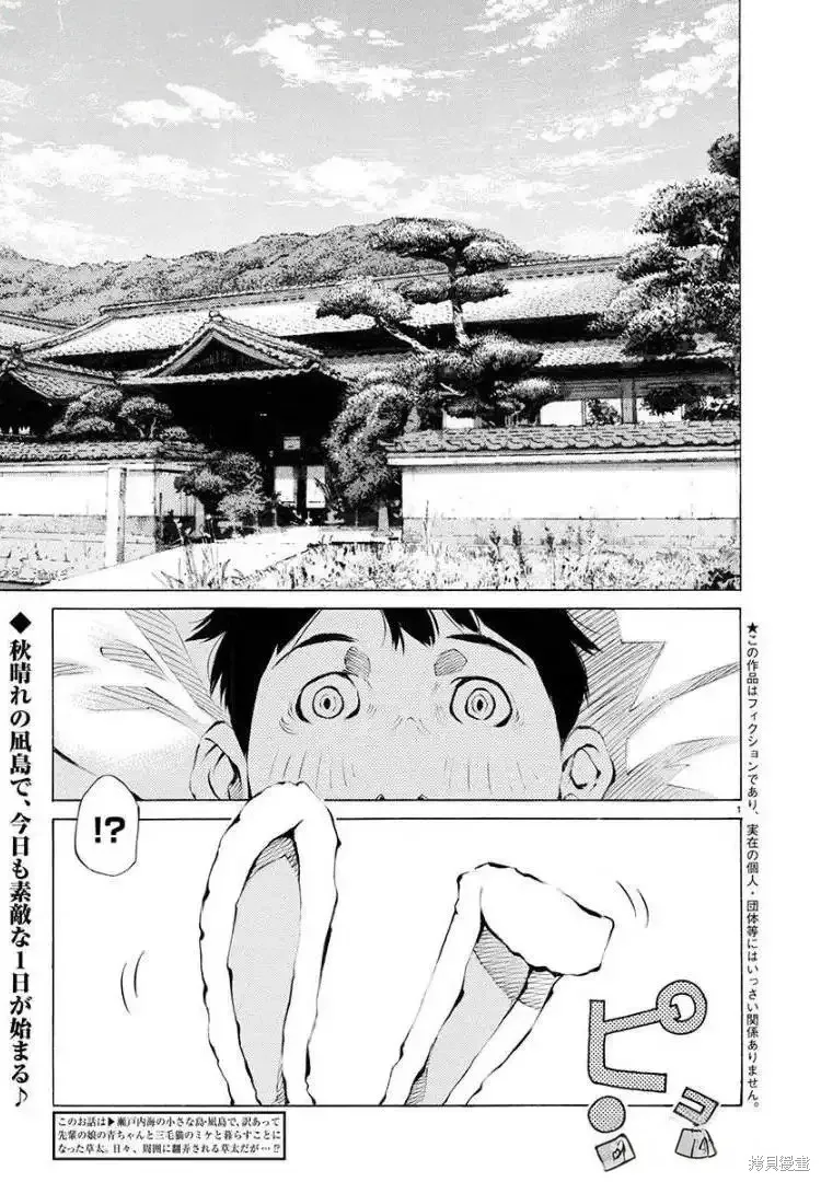海岛与少女还有猫,第69话,第1张