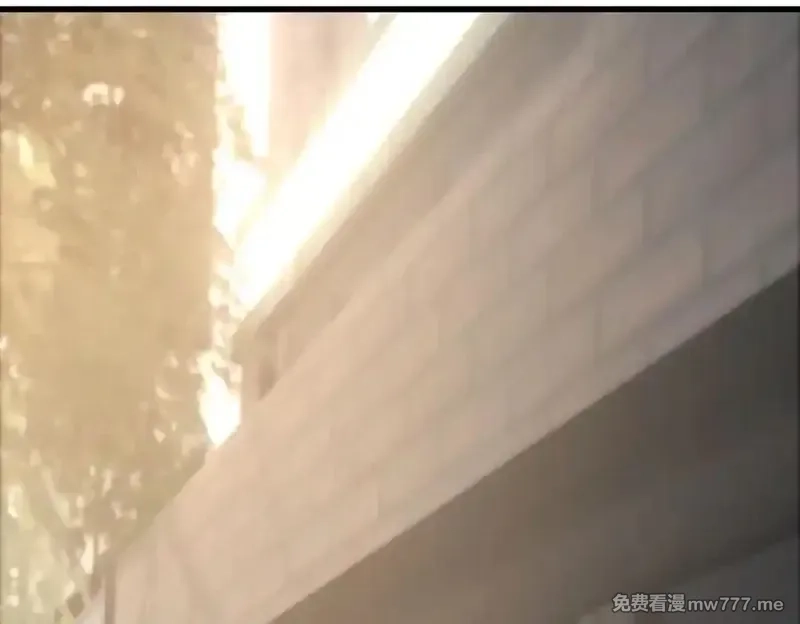 我，最强BOSS,48,第248张