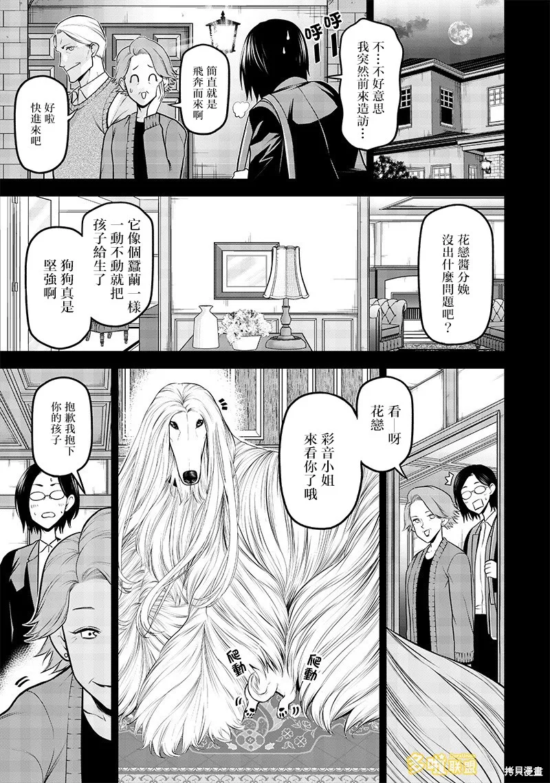 我家碰太變成了人類這件事。,云雀的追忆前篇,第13张